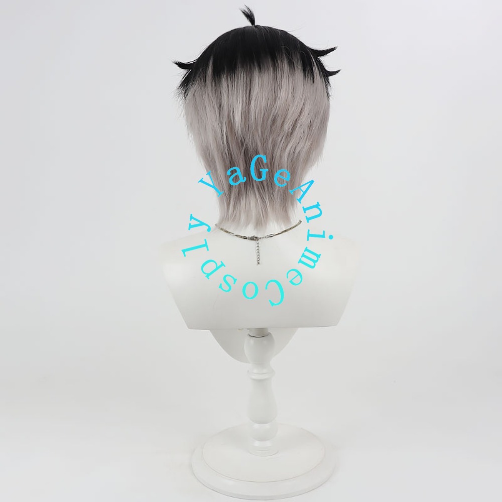 Mao Hua Wen Cosplay Wig Realis - огляд і ціна Anime Cosplay Realistic